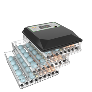 이중 전력 공급 가금류를 위한 높은 부화 비율 192 수용량 계란 부화기 - Product Image 5