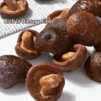 Champiñones Shiitake Salados y Picantes Directos de Fábrica, Snack Crujiente Deshidratado VF, Venta al por Mayor a Granel, Proveedor OEM para Exportación