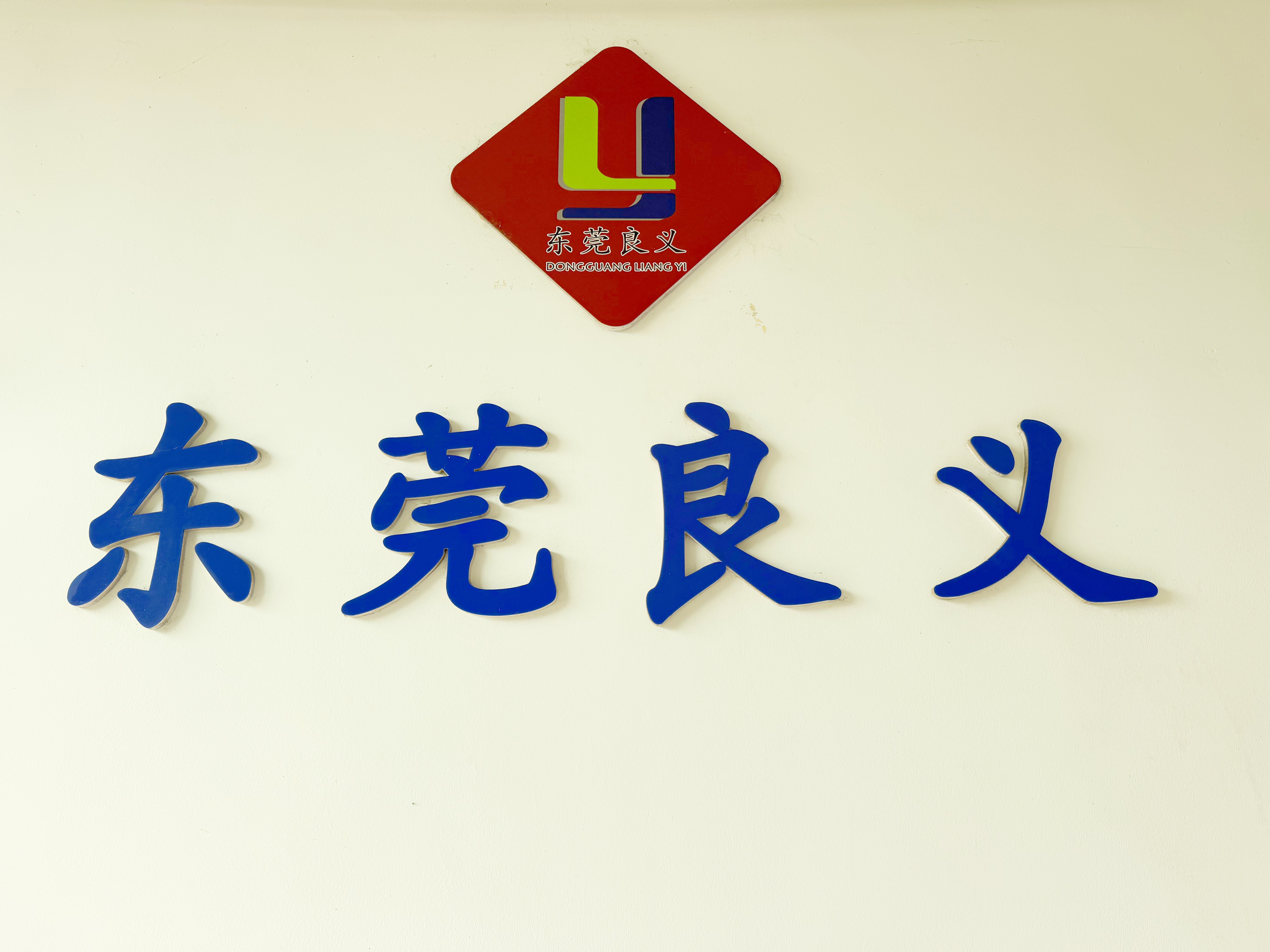 Dongguan Liangyi Sports Goods Co., Ltd. logo