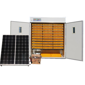 250w solar mono power industrial incubadoras de huevos para incubar para alimentado por batería - Product Image 4