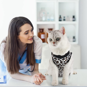 छोटा कुत्ता सर्जिकल ओनेसी वियर पेट कोन ई कॉलर वैकल्पिक तेंदुआ प्रिंट कैट सर्जरी रिकवरी सूट - Product Image 3