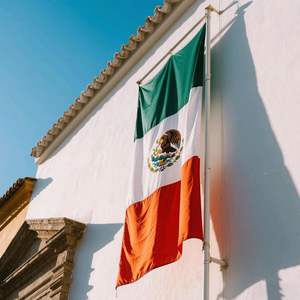 Флаг Мексики 3*5 футов, 2026 Word Fans Cup Products, уличный, сверхпрочный, с надписью Gadsden Don't Tread on Me, с 2 латунными люверсами - Product Image 3