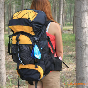 Sac à dos de montagne léger personnalisé de 50 l, doublure en nylon, grande capacité, randonnée en plein air, escalade, camping, randonnée, y compris la pluie - Product Image 2