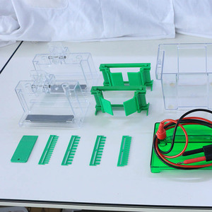 Equipamento de Laboratório Molecular Confiável BIOBASE, Tanque de Eletroforese Vertical para <span class=keywords><strong>10</strong></span> Amostras para Pesquisa em Ciências da Vida - Product Image 5