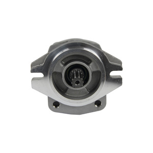 bibo LF Brand Speed 1500 Gear <b>Pump</b> <b>Small</b> Hydraulic <b>Pump</b> with 20Mpa 0.5 1 Year Warranty for 16 Ton - Product Image 2