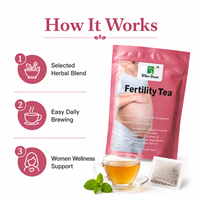 Tisane de Fertilité | Infusion aux Herbes pour le Bien-être Féminin | Soutien Quotidien à l'Équilibre | Mélange Botanique | Marque Privée | OEM ODM | Vente en Gros Directe Usine