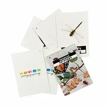 Jeux de cartes flash d'éducation d'insectes imprimés personnalisés avec anneau de reliure cartes à jouer pour enfants enfants améliorant les connaissances amusantes