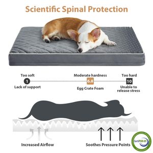 Cama Ortopédica Impermeable para Perros con Colchón y Funda Lavable Extraíble - Product Image 3