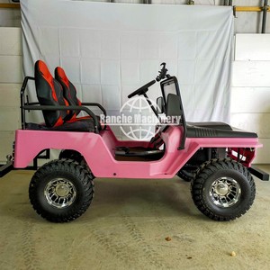 Voiture utilitaire de style Jeep économique 250cc 350cc 400cc 2WD 4WD essence électrique 4 places haute performance - Product Image 5