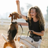 Sac de taille en silicone léger et durable pour friandises pour animaux, fermeture magnétique, idéal pour l'entraînement des chiens – Vente chaude