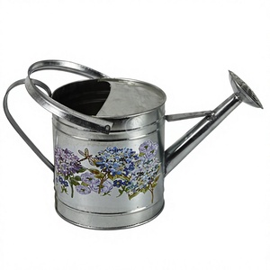 Jardin en gros galvanisé autocollants zinc <span class=keywords><strong>haws</strong></span> <span class=keywords><strong>arrosoir</strong></span> en métal - Product Image 6