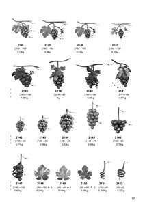 Tira Decorativa Forjada en Forma de Rizo de Uva para Rejas, Barandillas, Pasamanos y Balaustradas - Product Image 2