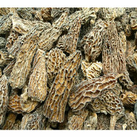 Yang Du Jun Prix de gros Morel Champignon Morel Champignon séché Morel Champignon
