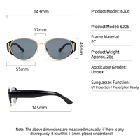 Vente flash Wei Ken 6206 PC Lunettes de soleil rétro œil de chat élégantes pour femmes et hommes, pour l'extérieur, CE