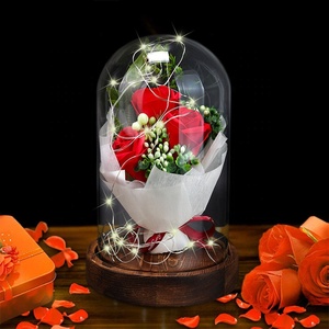 Vera rosa con Rose stabilizzate a luce LED in vetro cupola di fiori eterni per ragazza donna regalo di san valentino rosso rosa Ainy - Product Image 5