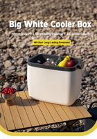 Glacière isotherme portable 8L 28L avec poignée de transport pour camping, pêche et utilisation en voiture – Offre Spéciale