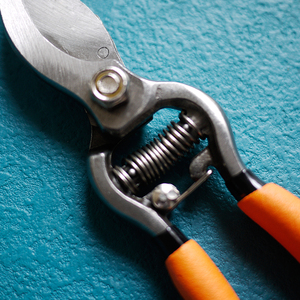 Dụng Cụ Làm Vườn 65 Triệu Hàng Rào Chuyên Nghiệp Dụng Cụ Cắt Tỉa Cắt Tỉa Hàng Rào Cây Tay Cầm Ngắn - Product Image 2