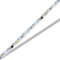 Tira de luz programable ultra Narow Tira de luz LED RGB 5M Tira de LED direccionable RGB CCT
