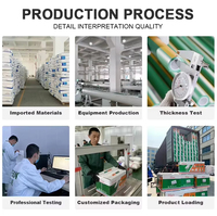 Fabricante IFAN, todo tipo de accesorios de tubería de plástico PPR, suministro de agua, materiales de plomería, accesorios de inyección de moldeo estándar DIN PPR