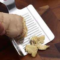 430 acier inoxydable multi-usages râpe à gingembre manuel Wasabi râpe broyeur purée broyeur gingembre moulin