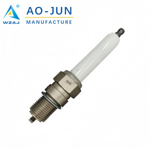 Bougies d'allumage Gi3-1 Gi3-3 Gi3-5 à pointe en iridium pour moteur CNG destiné aux machines de construction - Product Image 4