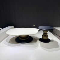 Ensemble de tables basses gigognes contemporaines extra larges 2 pièces en bois noir durable pour salon et décoration intérieure moderne