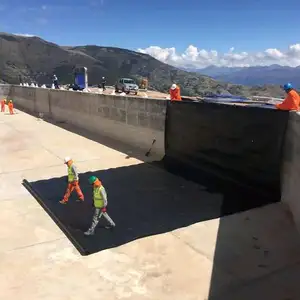 Hoja de Geomembrana de HDPE de Lago de revestimiento de estanque comercial de alta resistencia para Proyecto de estanque de depósito