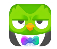 Compte Premium Duolingo Pro 1 an, accès mondial, anglais, langues étrangères, mathématiques, compatible Mac, à activer sur votre propre compte