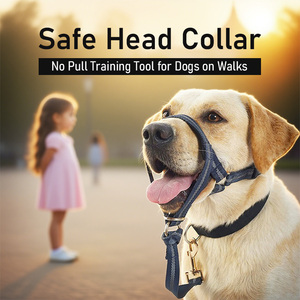 Custom Soft <span class=keywords><strong>Dog</strong></span> Head <span class=keywords><strong>Collar</strong></span> Verstellbare Schnauze No Pull Head Halfter mit Trainings nasen leine Einfache Steuerung zum Gehen - Product Image 6