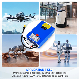 Индивидуальный литиевый аккумуляторный блок 43.2В 30Ач 21700 50S с защитой BMS – безопасный источник питания для стабильной работы промышленных дронов - Product Image 5