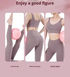 Ensemble d'accessoires de Pilates personnalisés avec anneau de Pilates, ballon de Pilates, ensemble d'accessoires de Pilates en PVC, bande de résistance, spécifique au fitness - Product Image 6