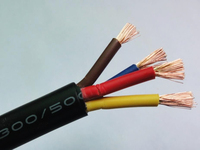 Cable de Alimentación XLPE Impermeable 300V/600V AWM VW-1 2464 RVVP 3C 24AWG 2C 4C 5C 6C 8C 10C 12C 14C 16C 20C Industrial Marino