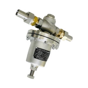 Válvula de reducción de gas criogénico de acero inoxidable Airmass DYS20A DN20 para almacenamiento a granel a baja temperatura - Product Image 5