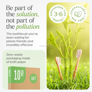 Biodégradable personnaliser marque privée <span class=keywords><strong>brosse</strong></span> <span class=keywords><strong>à</strong></span> <span class=keywords><strong>dents</strong></span> en bambou avec étui en bois de bambou <span class=keywords><strong>brosse</strong></span> <span class=keywords><strong>à</strong></span> <span class=keywords><strong>dents</strong></span> en bambou naturel - Product Image 2