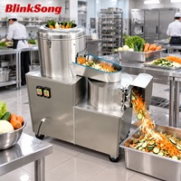 Laveuse, éplucheuse, trancheuse et râpeuse de légumes électrique commerciale BlinkSong, machine tout-en-un pour le traitement des pommes de terre, du taro et des carottes, 220V
