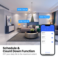 Tuya Wifi 2 Gang Smart Home Prises murales et prise de courant Smart Tuya Israel Standard Prises et interrupteur