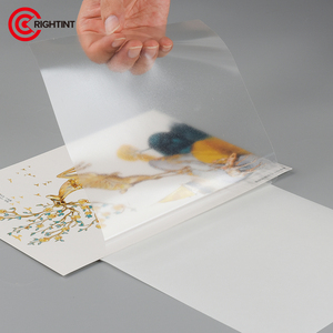 Custom Clear Transparent <strong>Vinyl</strong> UV <strong>Adhesive</strong> <strong>Stickers</strong> Label Printing for Inkjet Printing - Product Image 5