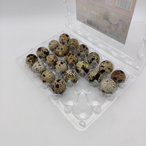 Custom Transparent Reusable Quail Egg Carton Crate Plastic Packaging Tray For Chicken Egg
