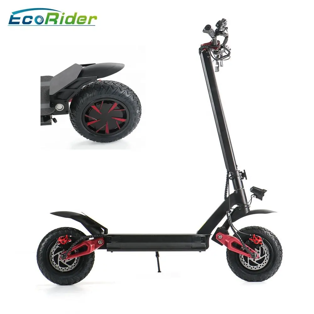 EcoRider E4-9 Electric Scooter 3600W Electric Kick Scooter with 60V Lithium Battery