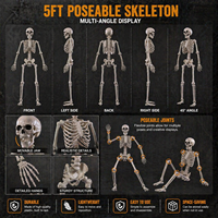 Décoration de squelette d'Halloween, squelette humain en plastique flexible et durable de 5 pieds pour accessoires de maison hantée, décoration de jardin extérieur