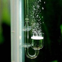 Réacteur en verre de diffuseur de CO2 de 20MM pour réservoir planté d'aquarium
