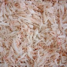 กุ้งแห้งเด็ก - Product Image 4