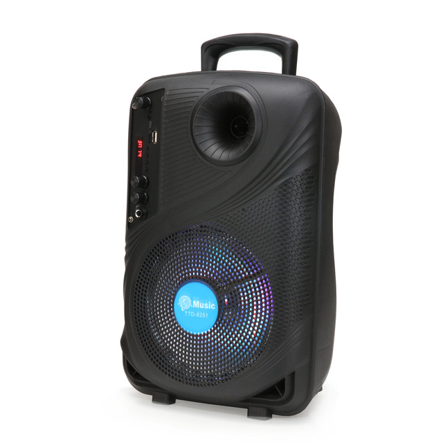 Factory TTD-8251 Mobile Portable Speaker 8-inch Outdoor Karaoke Party Plastic Subwoofer Car Audio Speaker Box 20W 10W