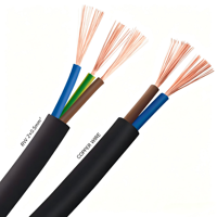 Câble plat flexible RVV 450/750V à âme en cuivre, isolé PVC, gaine plate, norme UE, 12 AWG, câble de signalisation et de commande TONGBAO