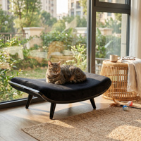 Grand hamac pour chat surélevé d'intérieur avec housse amovible, cadre en fer écologique