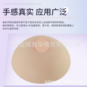 Formation des conseillères en lactation : seins artificiels médicaux en silicone souple, écoles professionnelles de services domestiques, hôpitaux - Product Image 2
