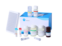 Kit humain du pro-BDNF (le pro cerveau a dérivé le facteur neurotrophique) ELISA
