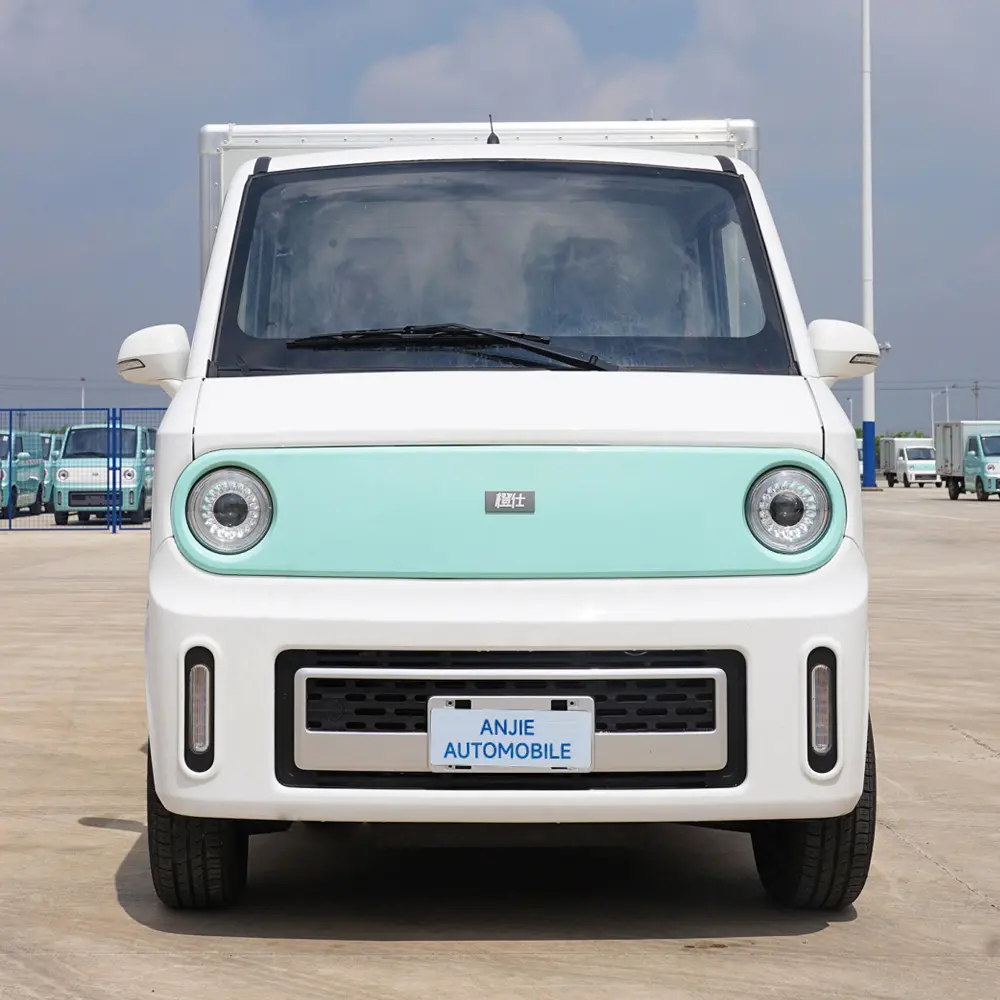Yeni enerji araçlar sıcak satış sol el Van 2 koltuklar pil ömrü 201km Chengshi X7 Ev araba yeni arabalar satılık