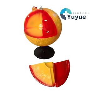 Modelo de la Estructura Interna del <span class=keywords><strong>Sol</strong></span>, Ayuda Didáctica 3D de las Capas Solares para la Educación <span class=keywords><strong>en</strong></span> Geografía y Astronomía - Product Image 1