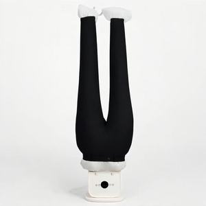 Máquina de Planchado y Secado Eléctrica Inteligente con Tecnología de Calentamiento Rápido para el Cuidado de la <span class=keywords><strong>Ropa</strong></span> - Product Image 2